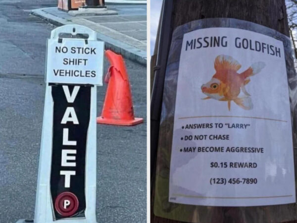 18 Signs That Made Me Laugh So Hard I Forgot My Name, Birthday, And Credit Card Number