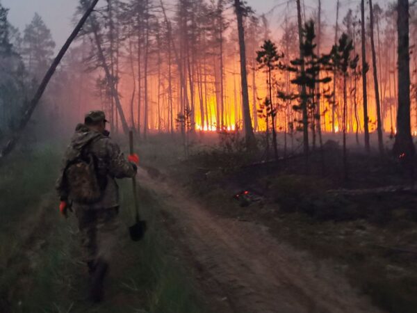 Arctic wildfires tear through Russia’s Far North releasing megatonnes of carbon