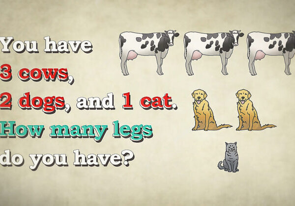 Can You Solve This Tricky Leg Riddle? You Have 3 Cows, 2 Dogs, and 1 Cat. How Many Legs Do You Have?