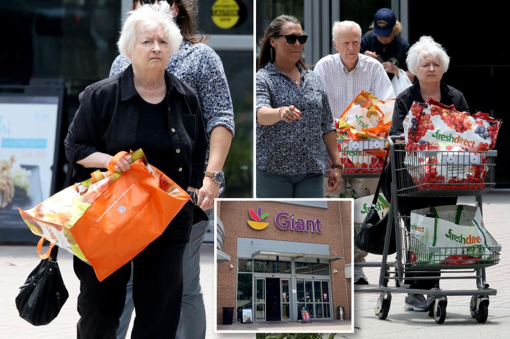 Janet Yellen grocery shops after tone-deaf remarks about soaring prices