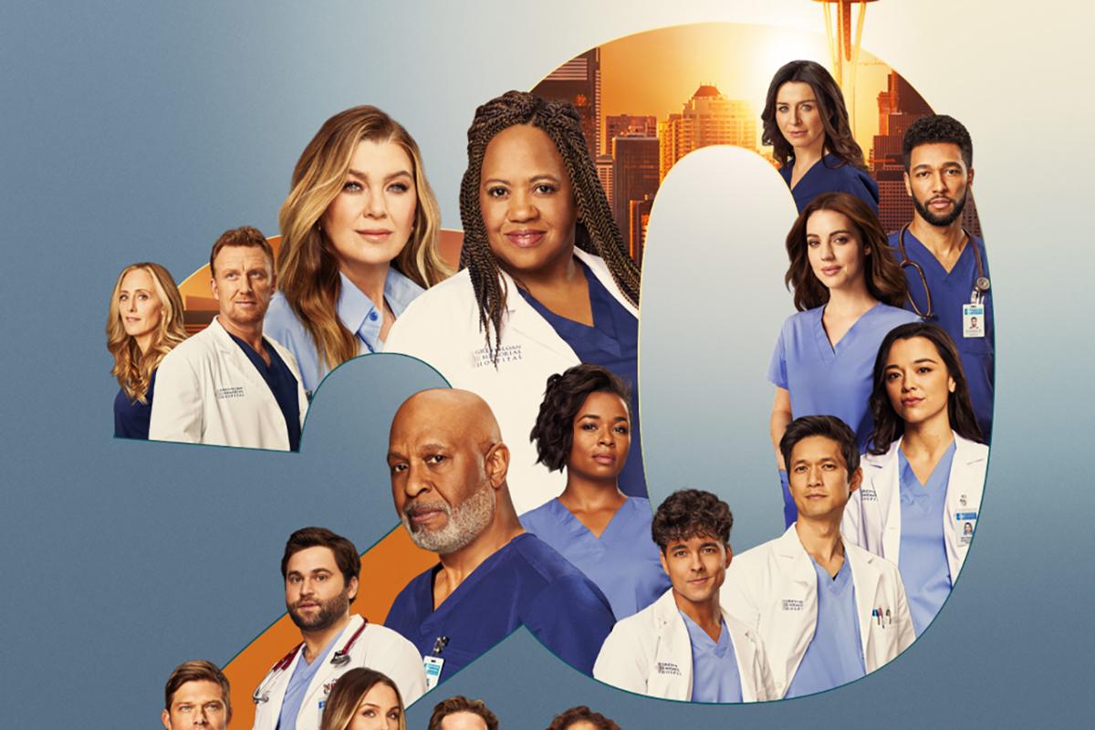 When Will 'Grey's Anatomy' Season 20 Be on Netflix? Release Time, Streaming Info