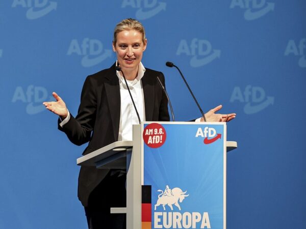 AfD and allies form new far-right group in Brussels called Europe of Sovereign Nations