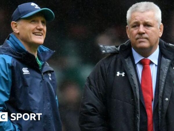 Australia v Wales: Joe Schmidt and Gatland reunited in Sydney