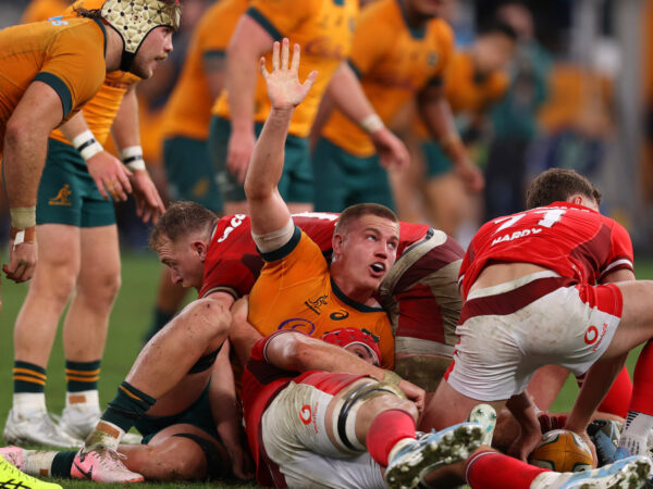 Australia vs Wales, coach Joe Schmidt on Charlie Cale selection