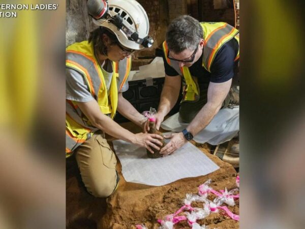 Caretakers make sweet discovery at George Washington's estate