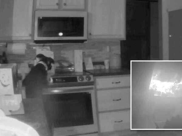 Colorado family dog turns on stove and starts house fire, video shows