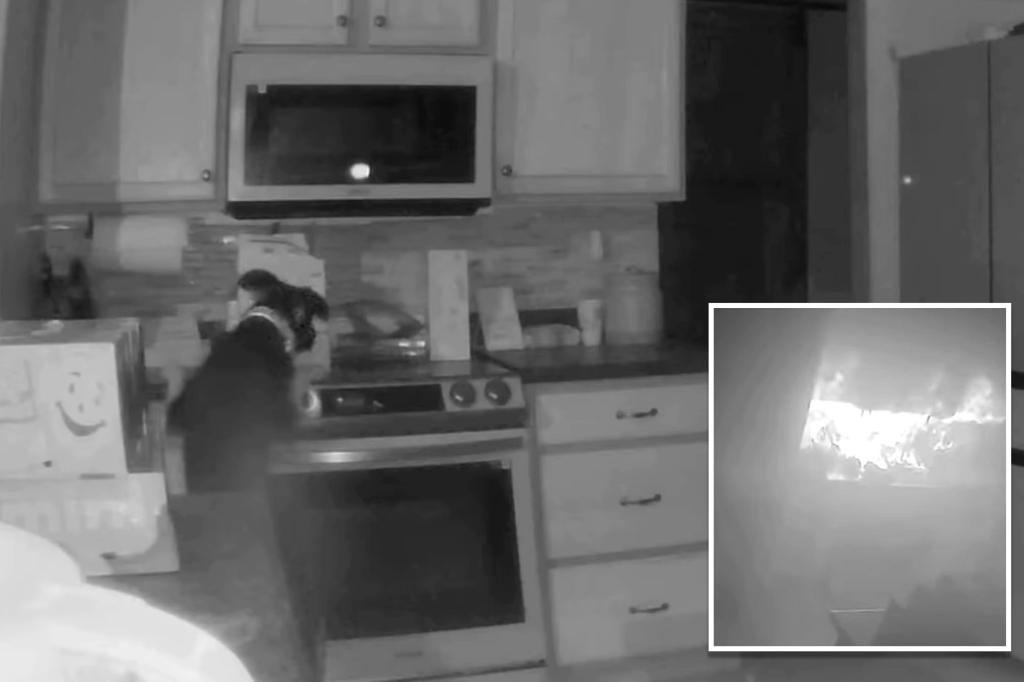 Colorado family dog turns on stove and starts house fire, video shows