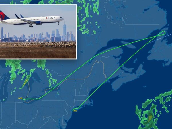 Delta flight forced to make emergency landing at JFK over 'contaminated food'