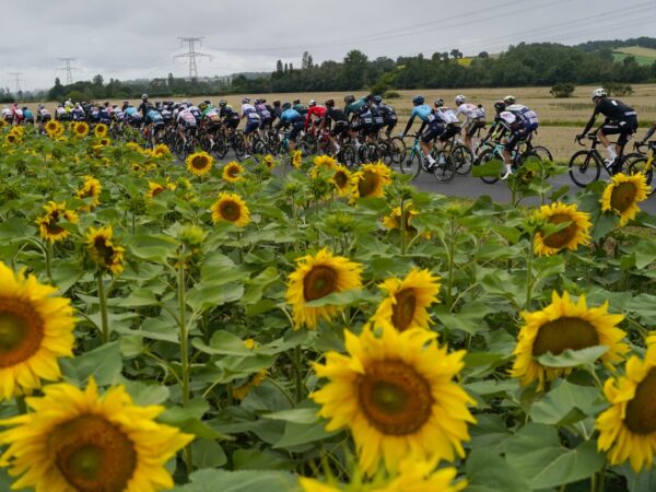 Do you speak cycling? Tour de France lingo features fries, potatoes and lanterns