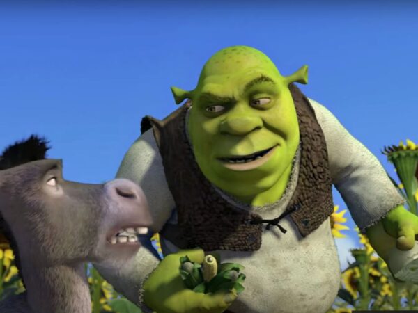 Shrek and Donkey in Shrek