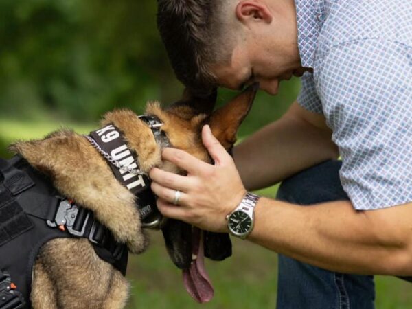 Nonprofit reunites Marines with their K9s