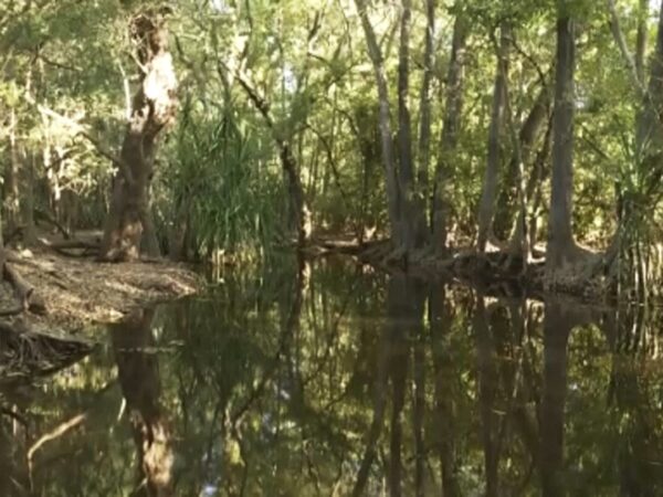 Rangers shot dead a 14-foot crocodile after it killed a girl swimming in an Australian creek