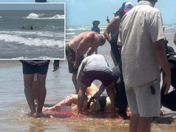 Same shark attacks 4 swimmers on Texas' South Padre Island