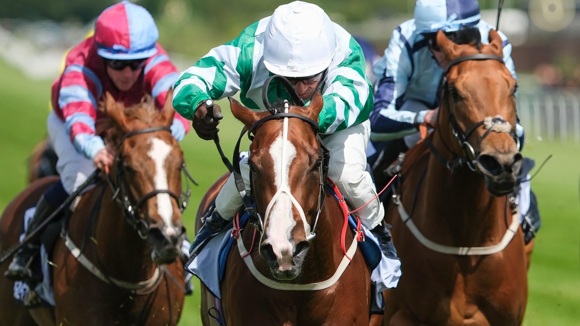 Templegate's World Pool tips and Tote Placepot prediction with £150,000 guaranteed at Sandown