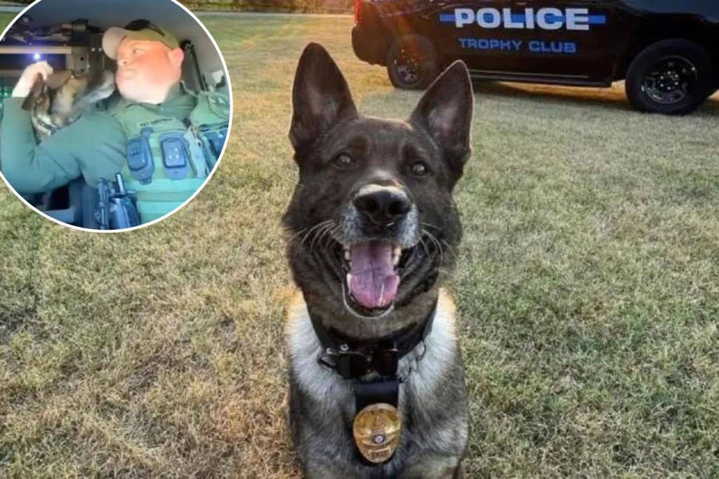 Texas K-9 retires after nearly a decade of service, gets heartfelt 'thank you' from law enforcement