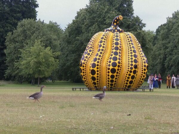 Video. The giant yellow pumpkin of London, Yayoi Kusama's latest masterpiece