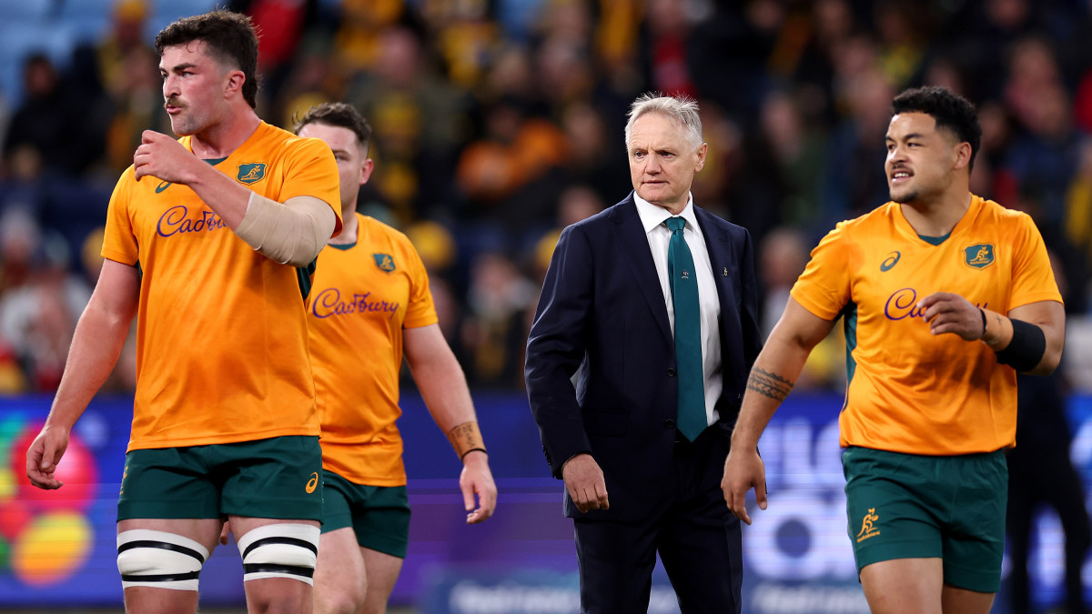 Wallabies vs Wales, Joe Schmidt exclusive analysis, Stan Sport