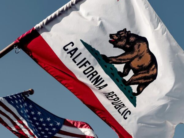 What you didn’t learn about California’s flag in history class