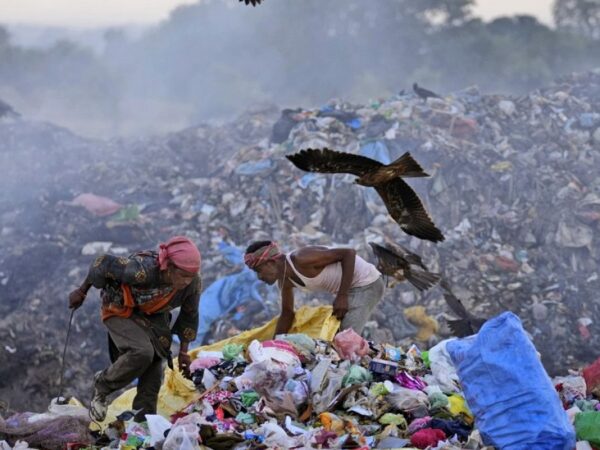 ‘They don’t know if they’ll survive’: The Indian garbage pickers working through extreme heat